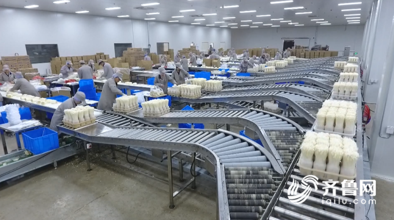 2019年山東農業科技服務（扶貧）月啟動儀式在鄒城舉行，開啟技術推廣新篇章